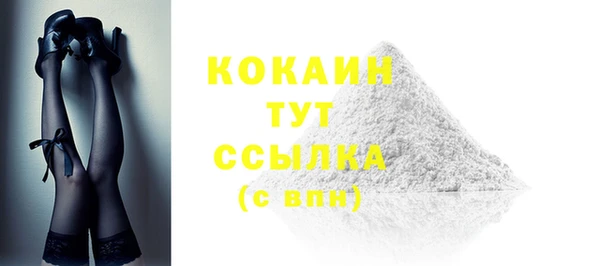 прущие грибы Абинск