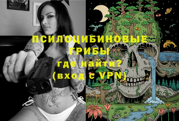 МДПВ Алексеевка