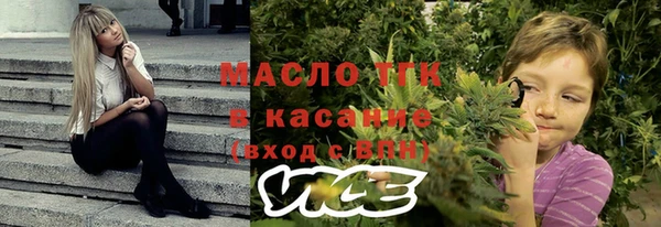прущие грибы Абинск