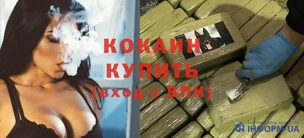прущие грибы Абинск